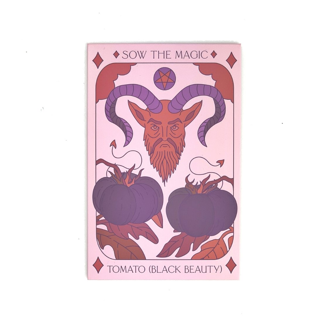 Black Beauty Tomato Tarot Garden + Gift Seed Packet - Salt of the Earth Organics