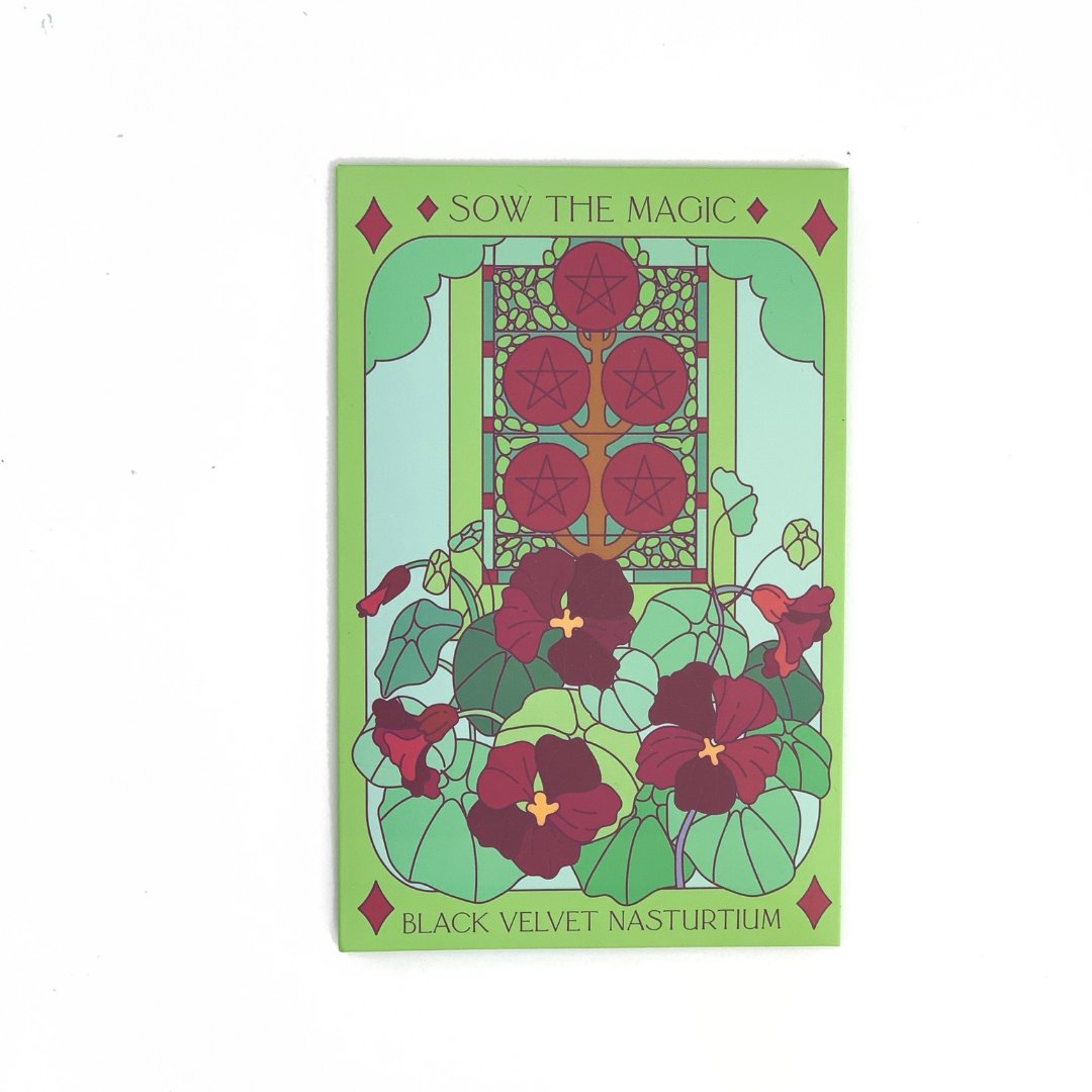 Black Velvet Nasturtium Tarot Garden + Gift Seed Packet - Salt of the Earth Organics