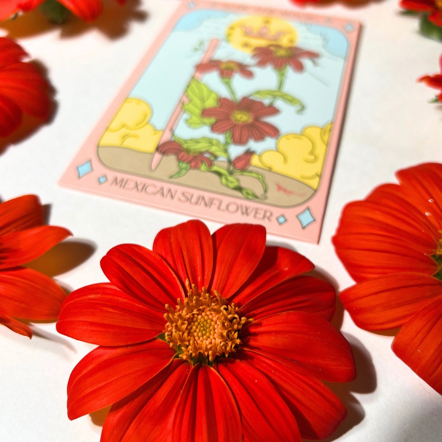 Mexican Sunflower Tarot Garden + Gift Seed Packet - Salt of the Earth Organics