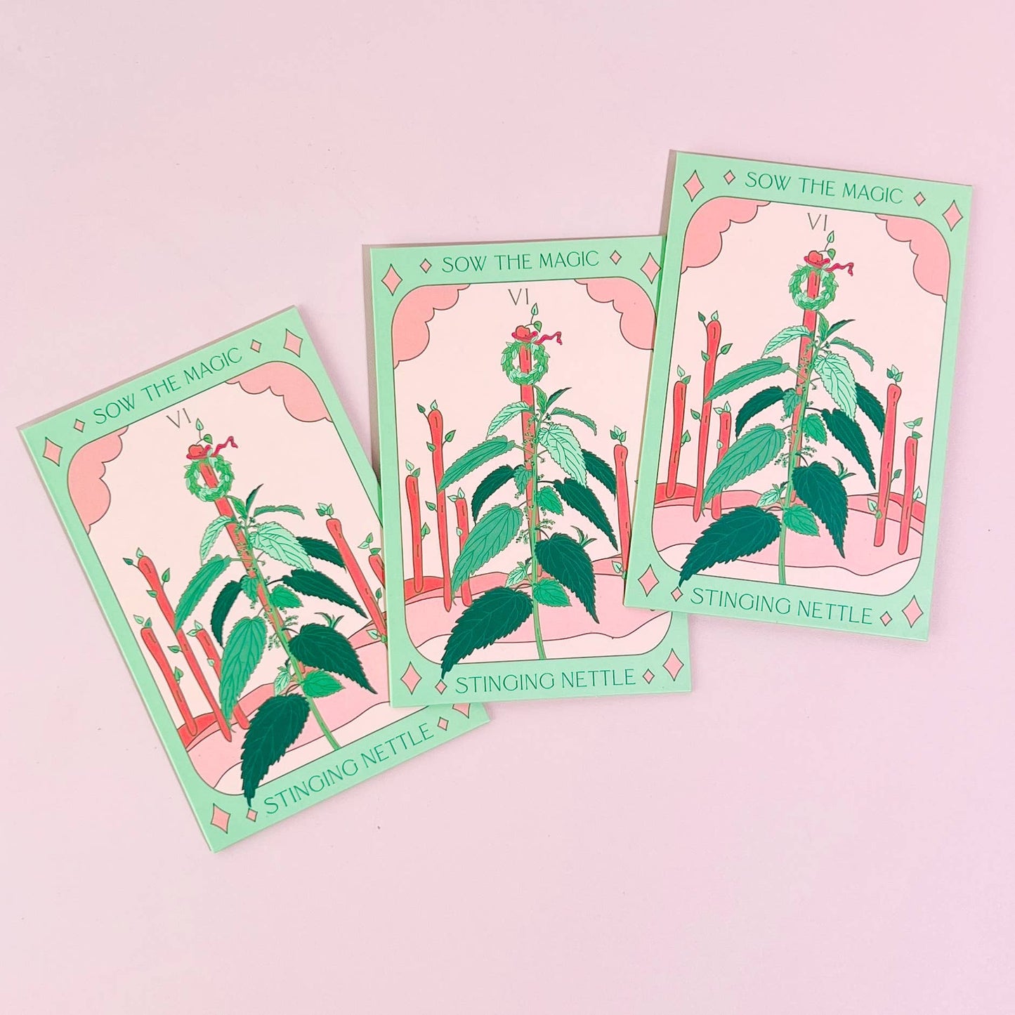 Stinging Nettle Tarot Garden + Gift Seed Packet - Salt of the Earth Organics