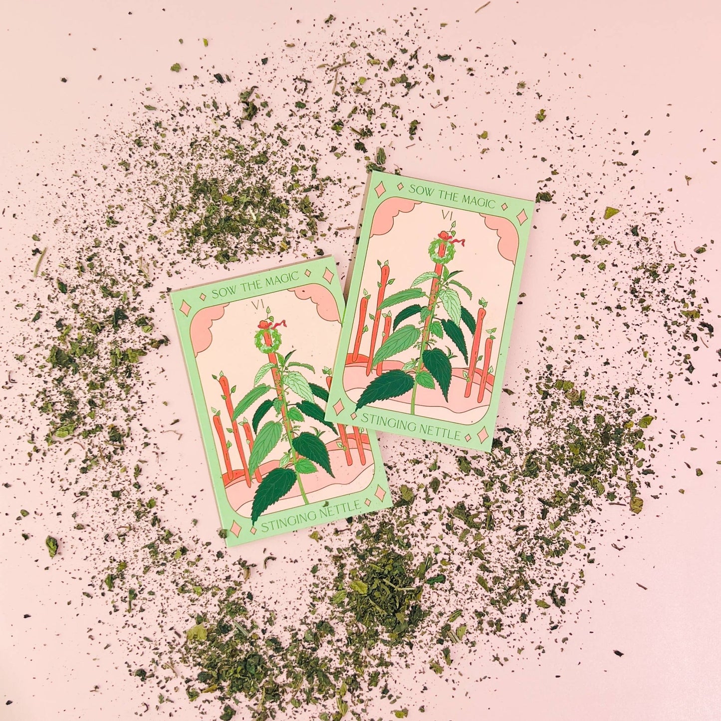 Stinging Nettle Tarot Garden + Gift Seed Packet - Salt of the Earth Organics