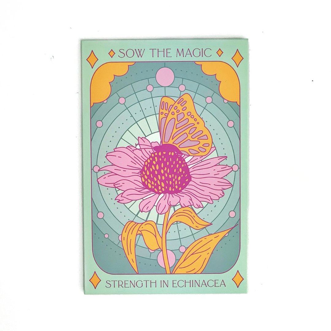 Strength in Echinacea Flower Tarot Garden + Gift Seed Packet - Salt of the Earth Organics